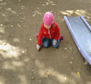 Shape7