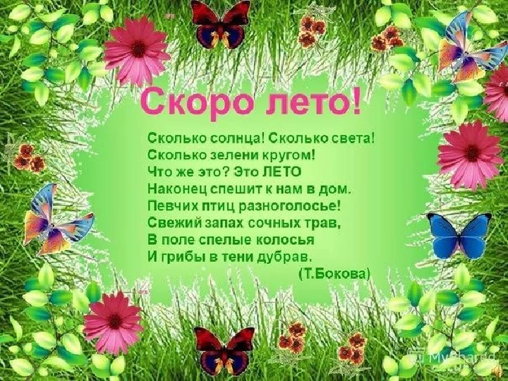Презентация для дошкольников:"Ах, лето!"