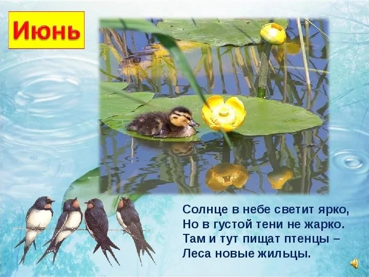 Презентация для дошкольников:"Ах, лето!"
