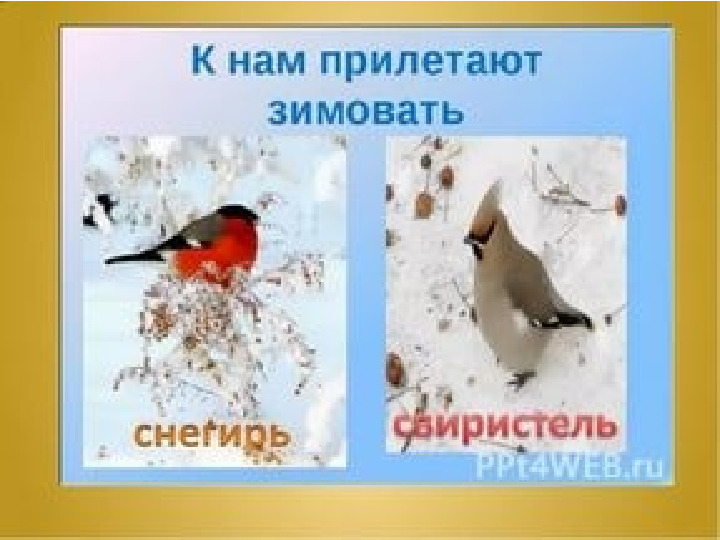 Презентация для дошкольников на тему:"Зимушка-зима!"