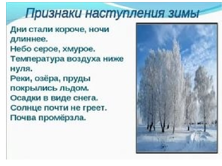 Презентация для дошкольников на тему:"Зимушка-зима!"