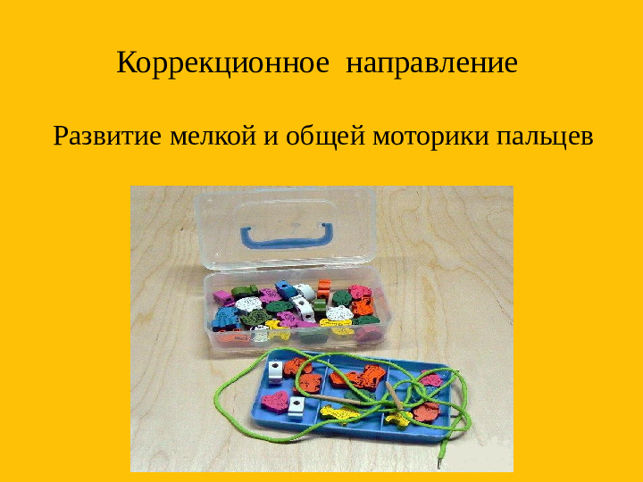 Направления коррекционно-развивающей работы учителя-дефектолога с детьми дошкольного возраста с ОВЗ,включая РАС