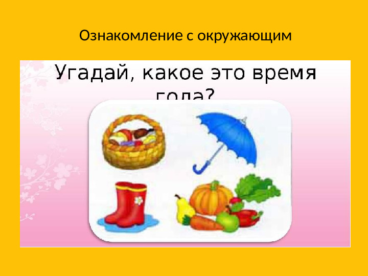Направления коррекционно-развивающей работы учителя-дефектолога с детьми дошкольного возраста с ОВЗ,включая РАС