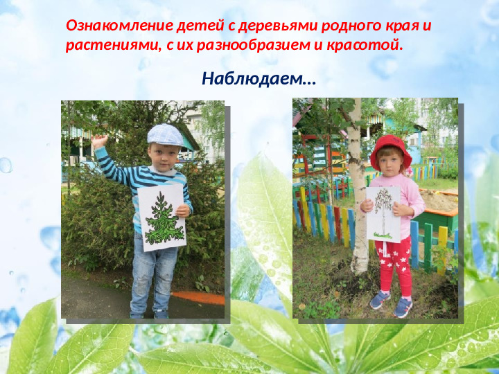 Презентация по экологическому воспитанию детей младшего дошкольного возраста