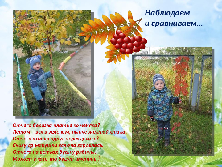 Презентация по экологическому воспитанию детей младшего дошкольного возраста