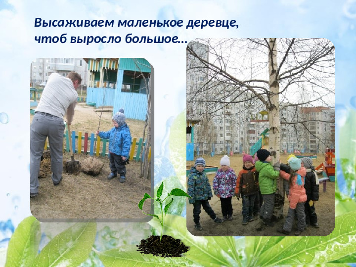 Презентация по экологическому воспитанию детей младшего дошкольного возраста
