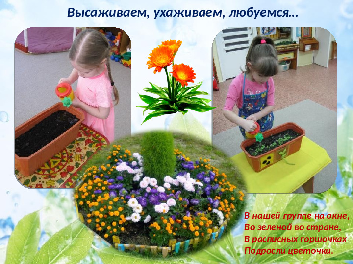 Презентация по экологическому воспитанию детей младшего дошкольного возраста