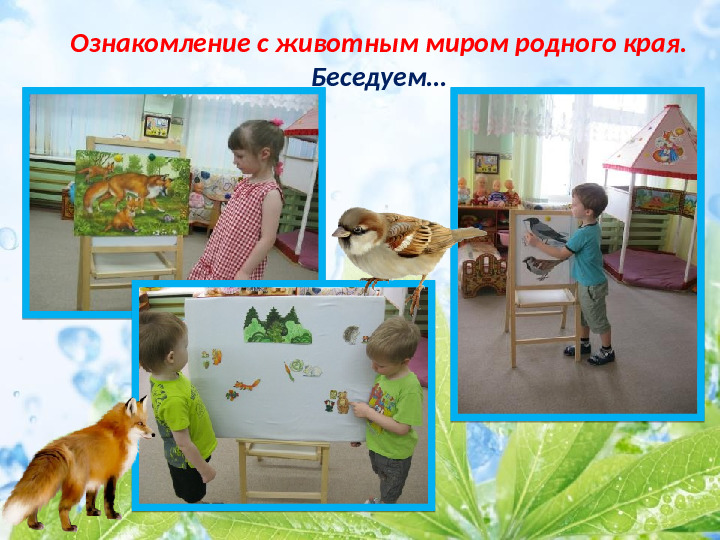 Презентация по экологическому воспитанию детей младшего дошкольного возраста