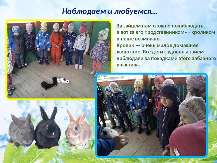 Презентация по экологическому воспитанию детей младшего дошкольного возраста