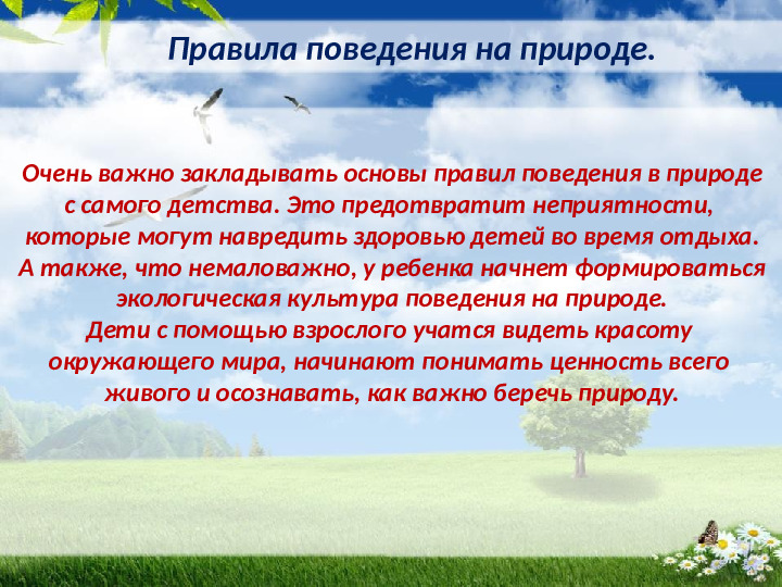 Презентация по экологическому воспитанию детей младшего дошкольного возраста