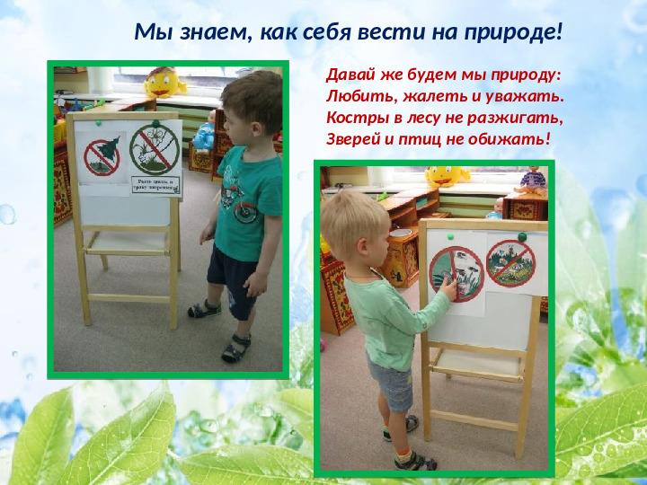 Презентация по экологическому воспитанию детей младшего дошкольного возраста