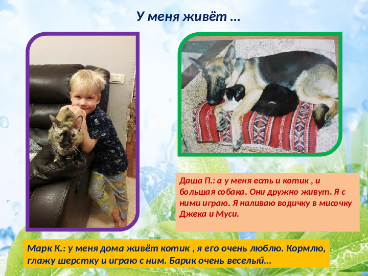 Презентация по экологическому воспитанию детей младшего дошкольного возраста