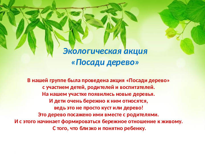 Презентация по экологическому воспитанию детей младшего дошкольного возраста