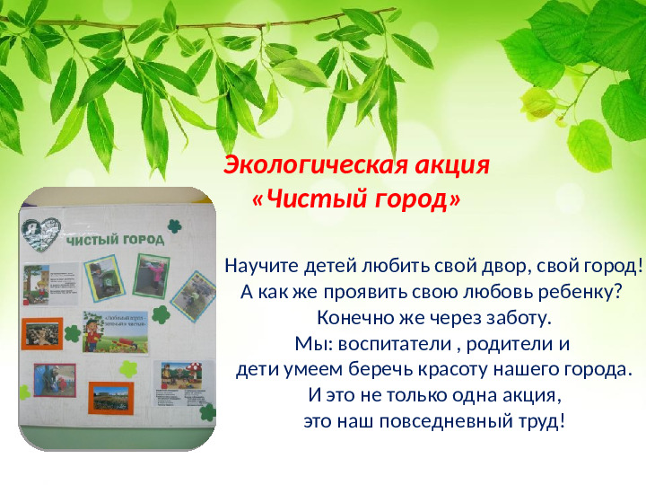 Презентация по экологическому воспитанию детей младшего дошкольного возраста