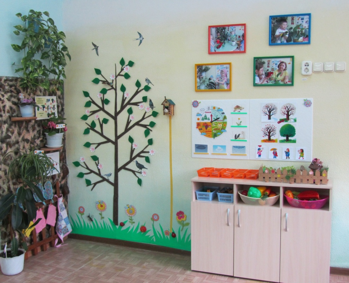 Стеллаж для уголка природы в детском саду