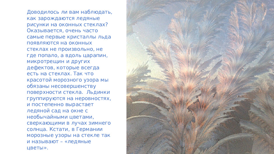 Презентация по изобразительному искусству "Морозные узоры" для дошкольников