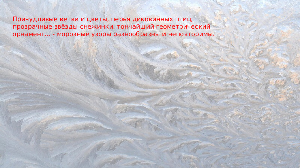 Презентация по изобразительному искусству "Морозные узоры" для дошкольников