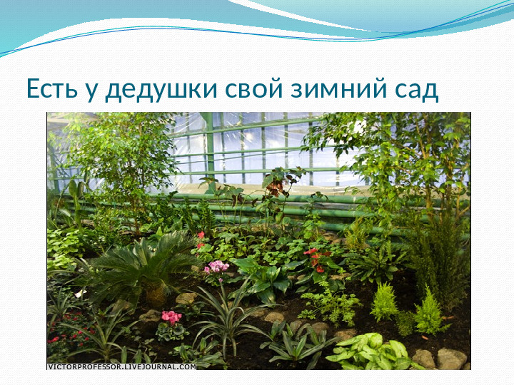 Презентация к НОД "Дед Мороз шагает по планете"