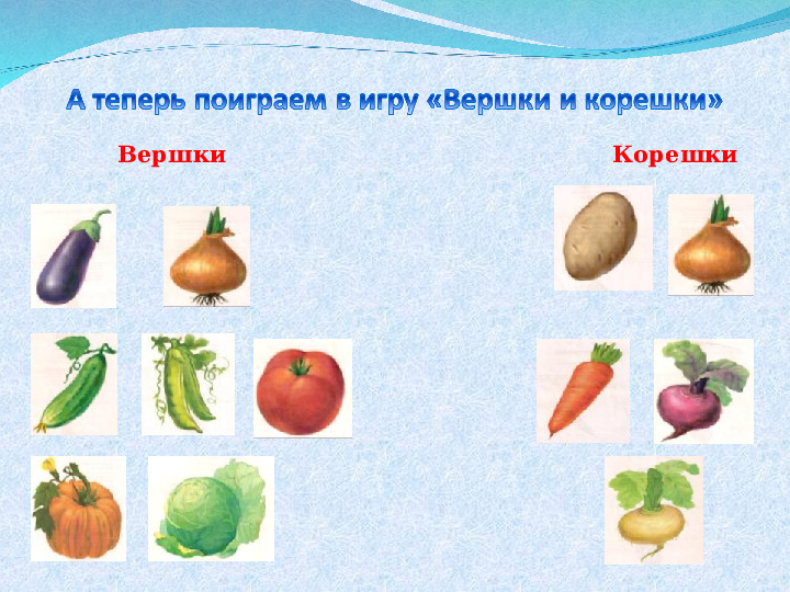Презентация для занятия с детьми