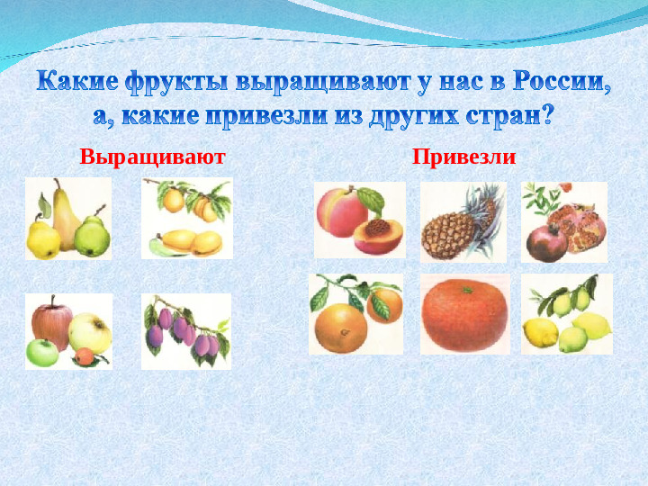 Презентация для занятия с детьми