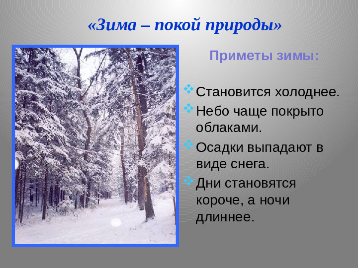 Презентация в рамках проекта «Зима»