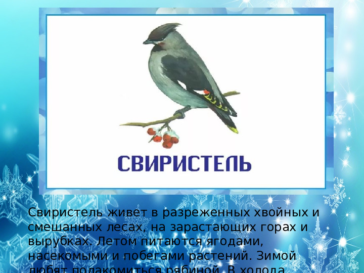 Презентация на тему "Зимующие птицы"