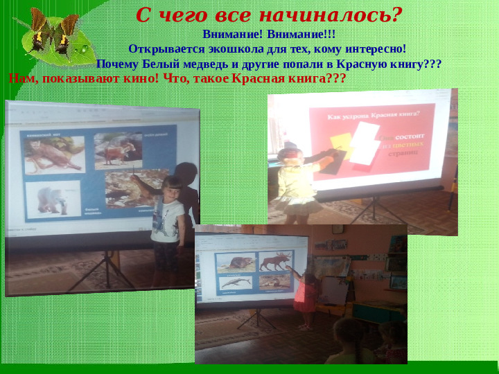 Презентация экологического проекта "По страницам красной книги"