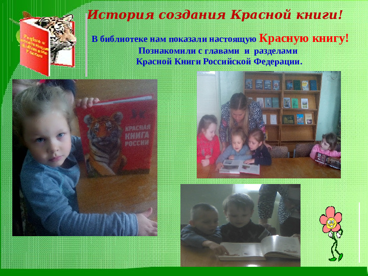 Презентация экологического проекта "По страницам красной книги"