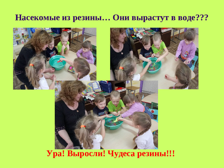 Презентация проекта "Мир вокруг нас"