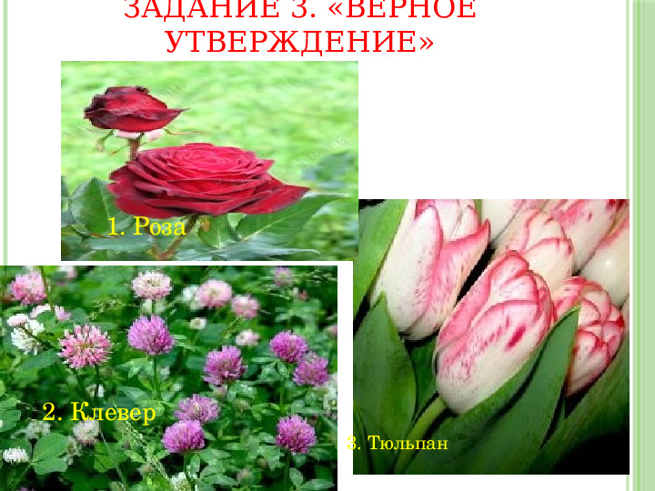 Презентация игры "Звездный час"