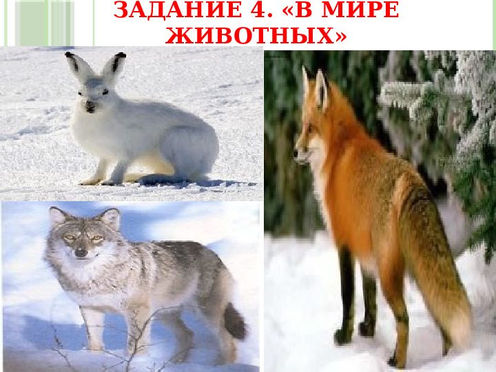 Презентация игры "Звездный час"