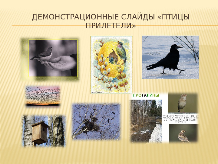 Безоасность дорожного движения и дети