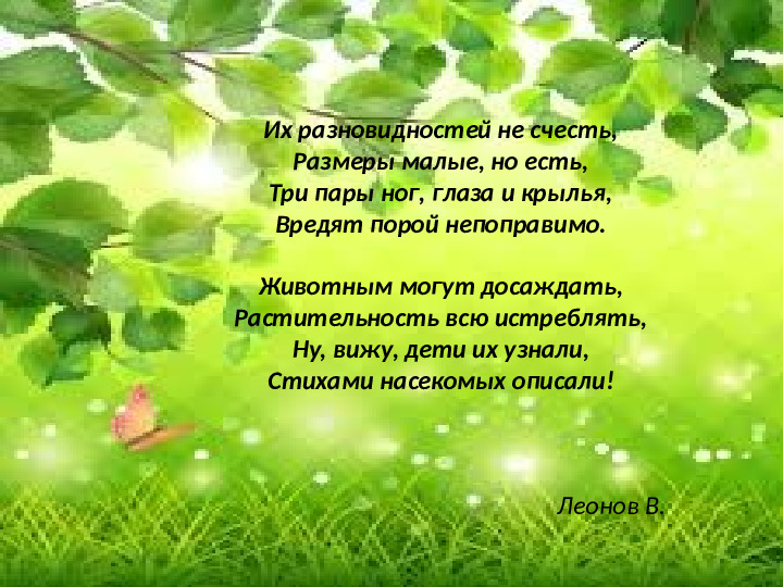 Презентация по экологическому образованию "Наши друзья - насекомые"