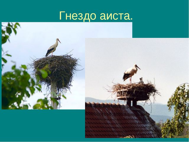 Пришла весна, прилетели птицы. Презентация для дошкольников