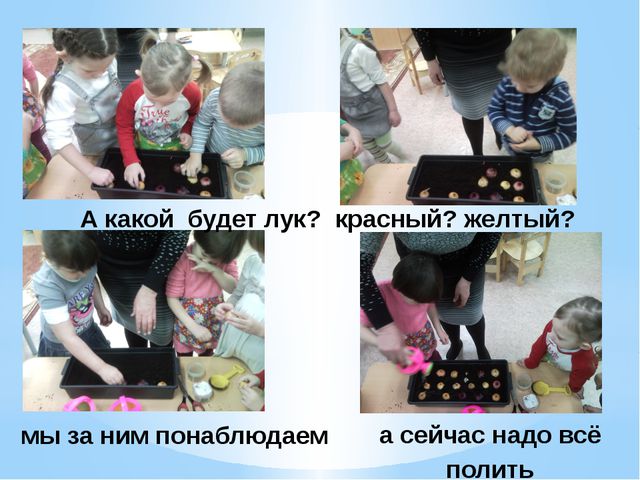 Презентация для детей по ознакомлению с окружающим миром