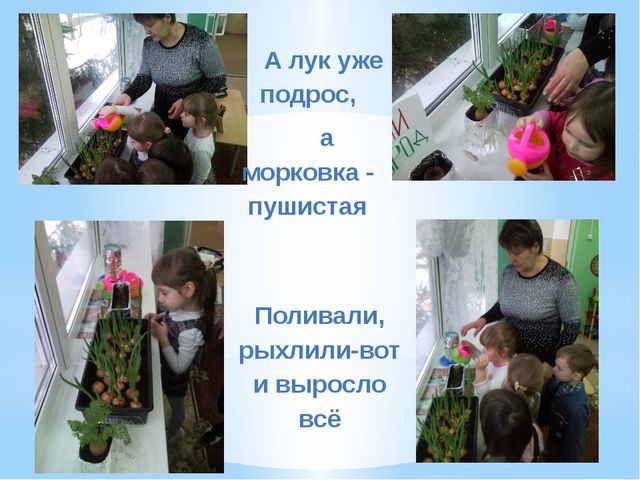 Презентация для детей по ознакомлению с окружающим миром