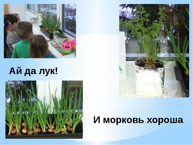 Презентация для детей по ознакомлению с окружающим миром