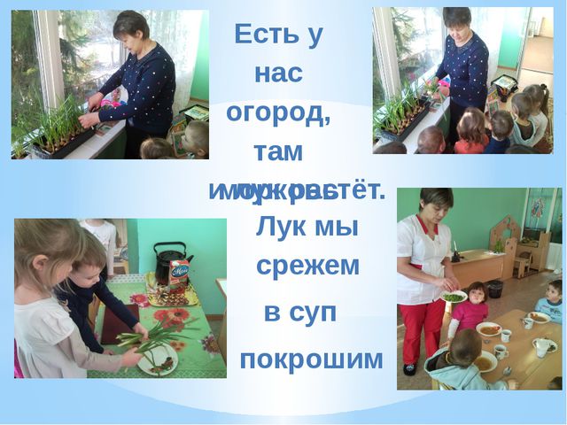 Презентация для детей по ознакомлению с окружающим миром