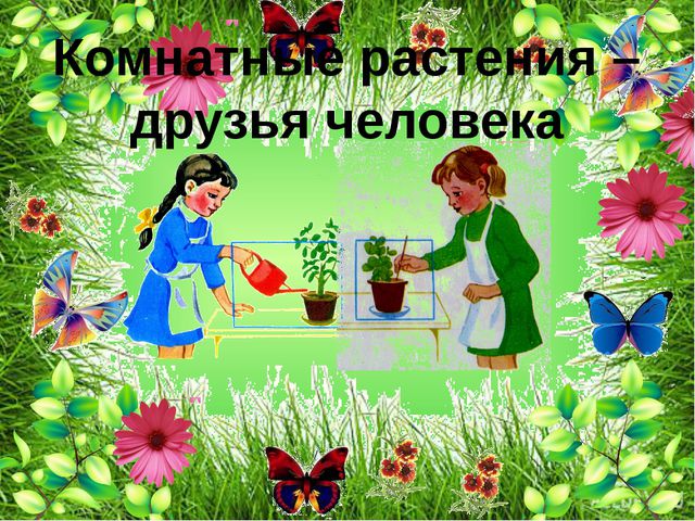 Комнатные растения. Презентация для детей