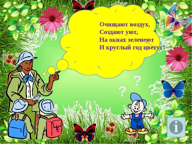 Комнатные растения. Презентация для детей