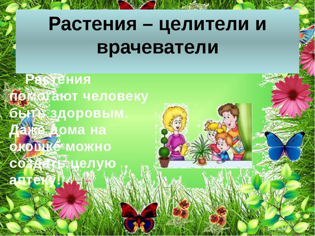 Комнатные растения. Презентация для детей