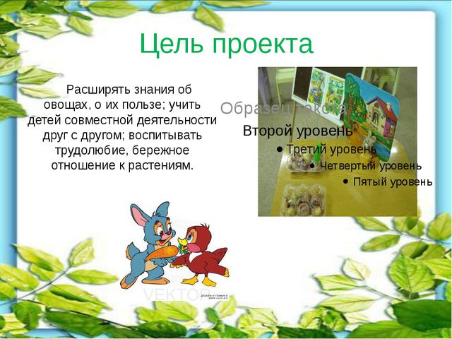 Витамины на грядке. Презентация
