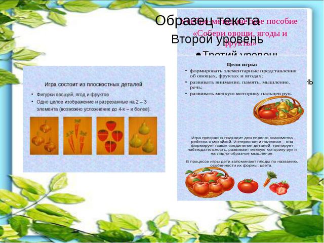 Витамины на грядке. Презентация