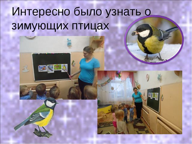 Покормите птиц зимой! Презентация