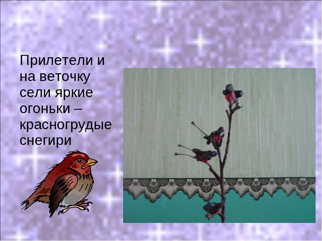 Покормите птиц зимой! Презентация