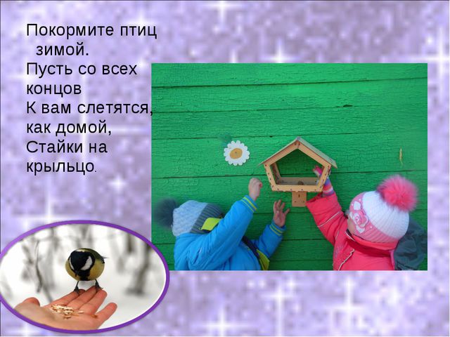 Покормите птиц зимой! Презентация