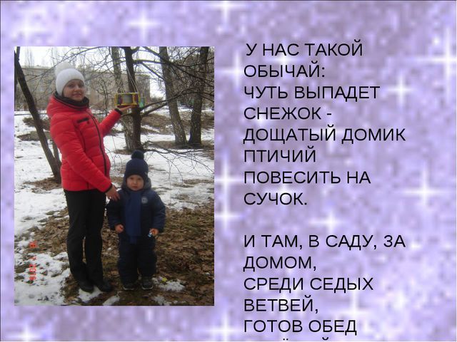 Покормите птиц зимой! Презентация