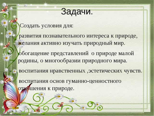 Познавательное развитие дошкольников