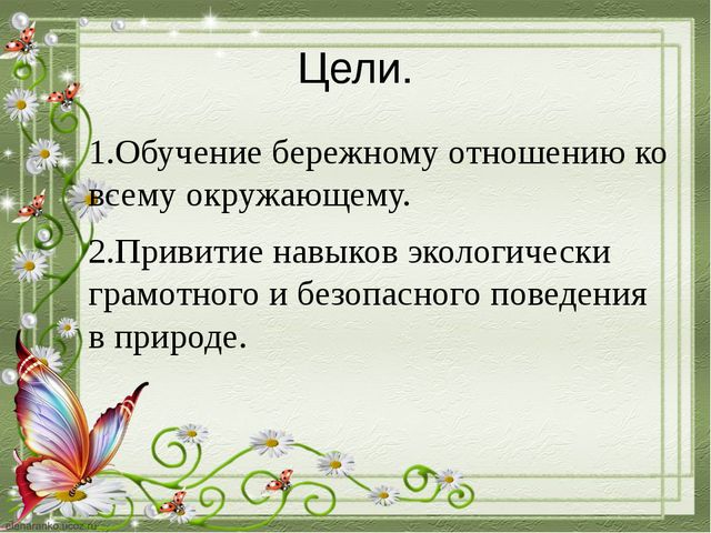 Познавательное развитие дошкольников