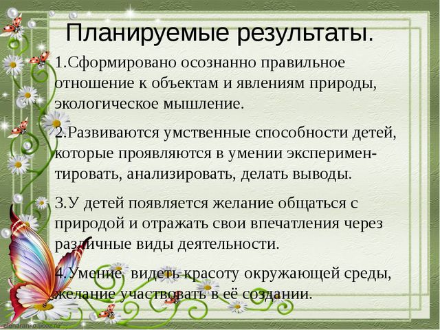 Познавательное развитие дошкольников